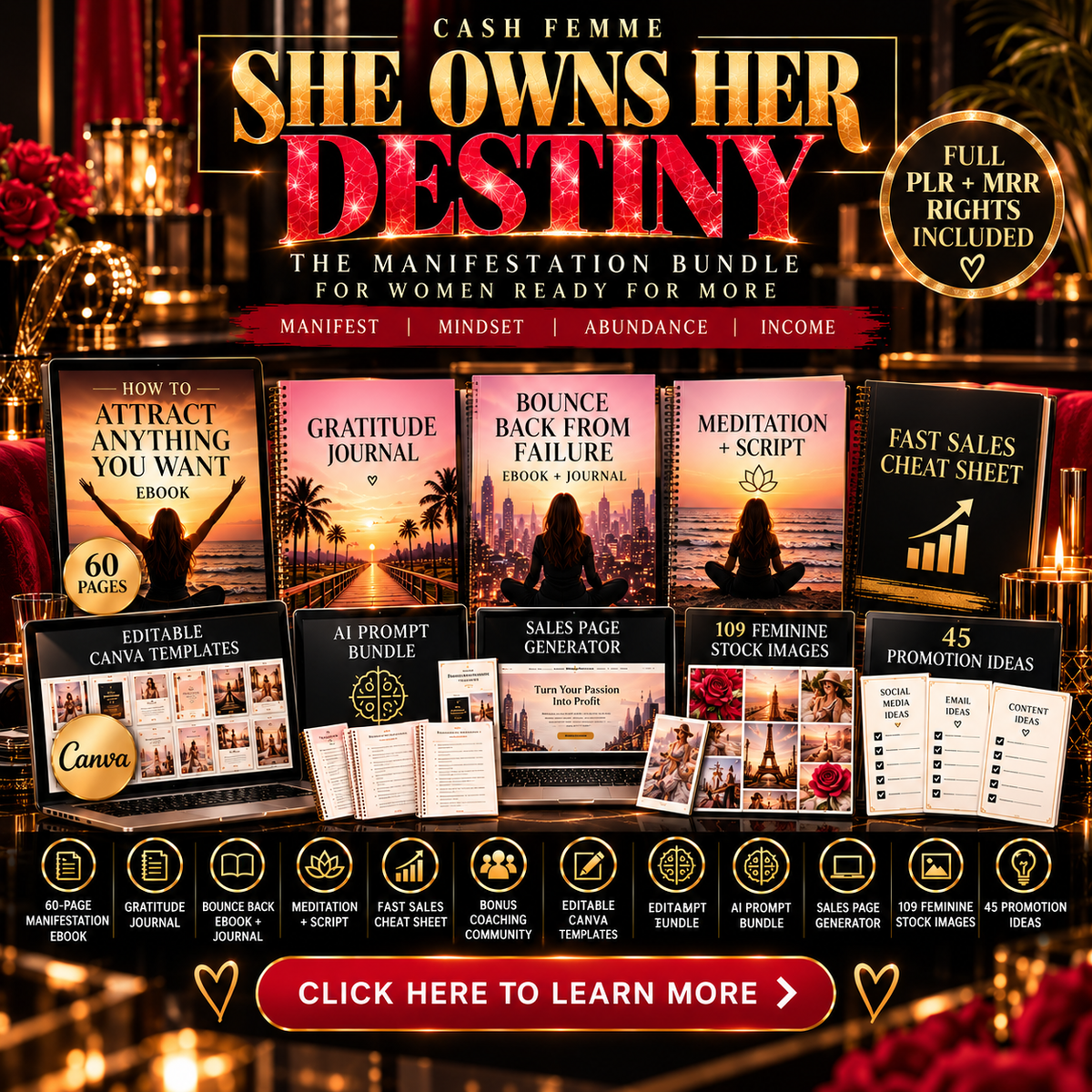 She Owns Her Destiny MRR